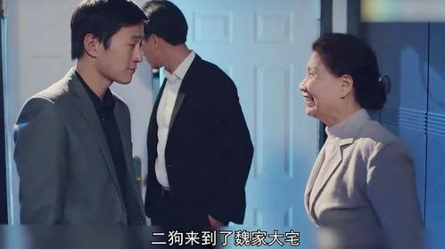 陈二狗在线观看,网络奇遇记 第1张 陈二狗在线观看,网络奇遇记 第1张