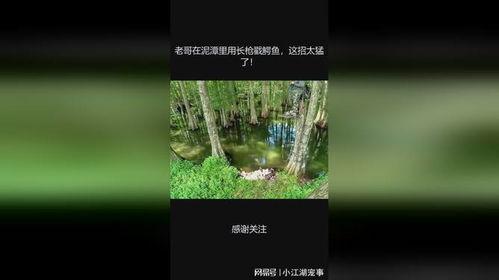 泥潭老哥爆料视频,揭秘事件背后惊人真相 第3张 泥潭老哥爆料视频,揭秘事件背后惊人真相 第3张