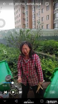 陕西高校爆料新闻,揭秘校园内幕事件