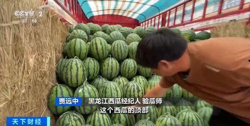 吃瓜香的网红有哪些 第2张 吃瓜香的网红有哪些 第2张