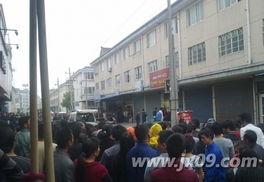 蒲城最近爆料案件最新,最新案件细节曝光，真相令人震惊！